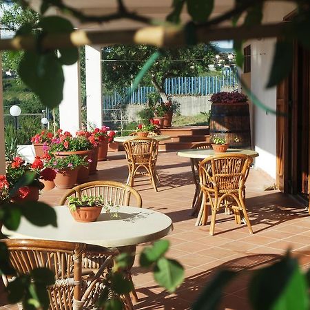 B&B Cilentum Agropoli Εξωτερικό φωτογραφία