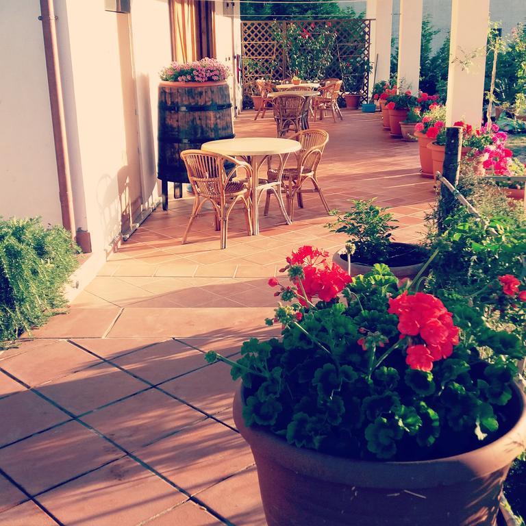 B&B Cilentum Agropoli Εξωτερικό φωτογραφία